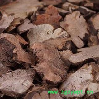 中药材金荞麦 无硫苦荞麦 金荞麦根 野荞麦根  产地贵州安国市场批发零售大全图2