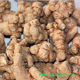 120头三七  产地 云南省文山壮族苗族图3