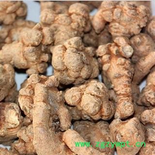 120头三七  产地 云南省文山壮族苗族图2