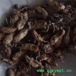 灵吉药业  金蝉花，蝉花  道地药材 货真价实 优质 正品图2