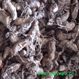 灵吉药业  金蝉花，蝉花  道地药材 货真价实 优质 正品图3