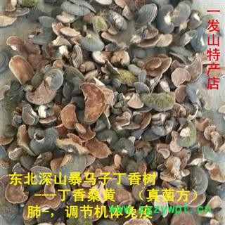 东北桑黄 暴马子丁香桑黄 1公斤起批包邮图2