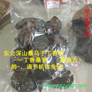 东北桑黄 暴马子丁香桑黄 1公斤起批包邮图4