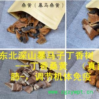 东北桑黄 暴马子丁香桑黄 1公斤起批包邮图3