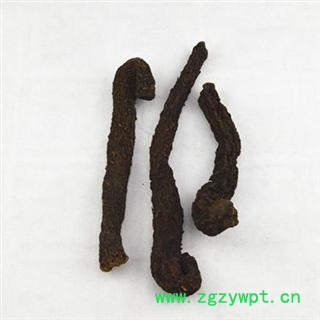 大芸 大统 产地 新疆维吾尔自治区 库存图3