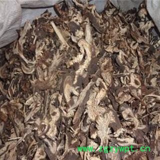 升麻 统 产地 辽宁省抚顺市市辖区图2