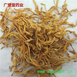 虫草花 虫草 金虫草 金虫草花 北冬虫草无硫选中药材批发图2