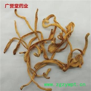 虫草花 虫草 金虫草 金虫草花 北冬虫草无硫选中药材批发图3