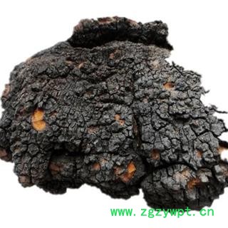 灵芝 桦褐孔菌 白桦茸  瑞芝堂产地直销1000克图2