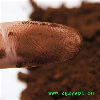 中药材灵芝孢子粉 天然破壁精细粉 产地山东省安国市场批发零售大全图2