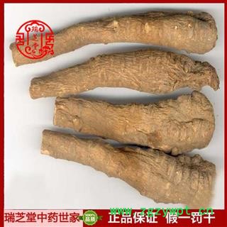 白芷 中药材 浙白芷统个 瑞芝堂产地直销1000克规格齐全 一站购齐图2