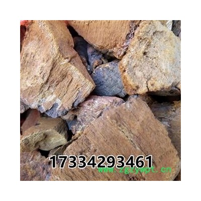 灵芝 松针层孔菌 松树桑黄 东北产 统货 松针层孔菌