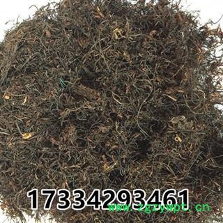 海藻 中草药材 海带花图3