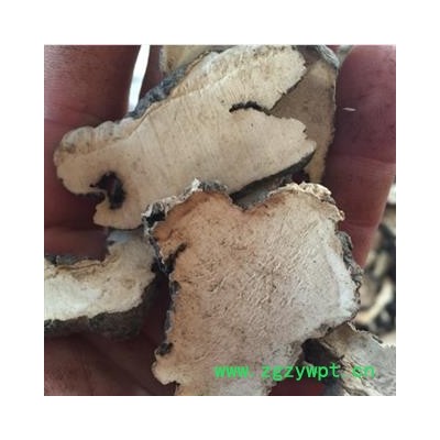 瑞森药材行猪苓 片子 产地 黑龙江省