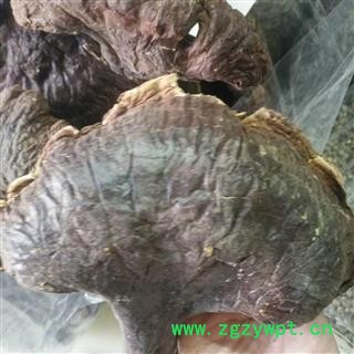 诺源中药材小蓝帽 灵芝孢子粉 破壁率高 4盒/提图3