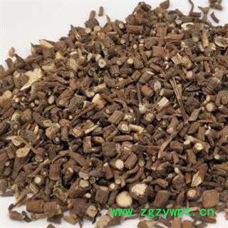 中药材北柴胡 统咀 产地 山西省  安国市场批发零售大全图2