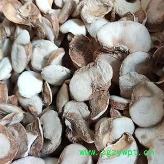 中药材贝母个 贝母片 正宗纯天然浙贝母  新货无流无添加 品质放心 安国中药材批发零售大全图4