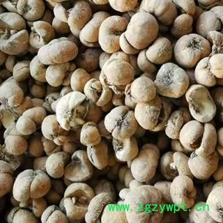 中药材贝母个 贝母片 正宗纯天然浙贝母  新货无流无添加 品质放心 安国中药材批发零售大全图2