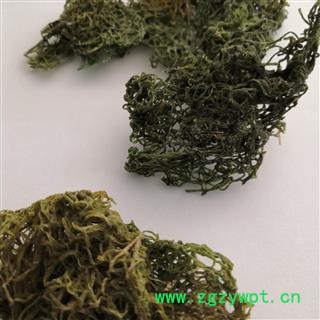 安祁名药中药材海藻 野生海兔粉 红海粉  50克/包图2