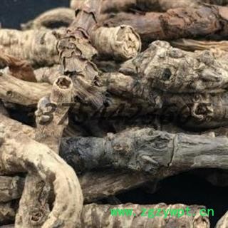 胡黄连 统 产地 西藏自治区安国市场批发零售大全图2