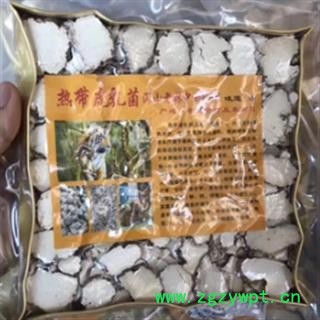 安祁名药正品藏药灵芝 虎乳菌 虎乳灵芝图3