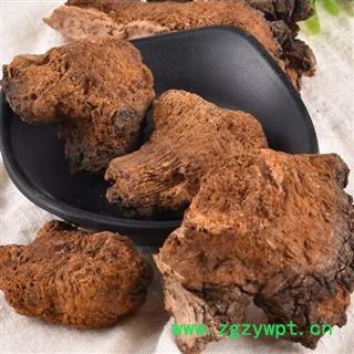 白桦茸 秦岭优质桦树茸 手工采取 分拣 日晒500g图3