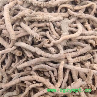 远志 远志中筒肉 产地 山西省图2