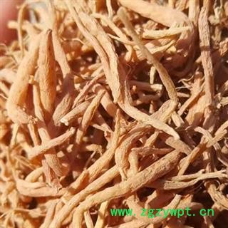 中药材太子参 太子参选货 太子参统货 本品是绿色无硫熏蒸 手工采摘精选 干净无杂 健康无添加 自然晾晒 品质有保证 安国中药材批发零售大全图2