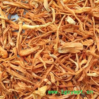 虫草花统货 产地 广西壮族自治区图3