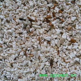 茯神 茯神碎块 产地 安徽省六安市图2