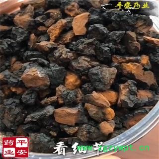 桦树茸颗粒 黑金丁块 正桦树茸 白桦泪 桦树泪  白桦茸桦树黄 桦树菇 桦褐孔菌 西伯利亚灵芝图2