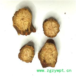 煜庭药业 紫丹参 丹参图4