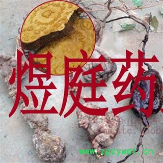 煜庭药业 何首乌图4