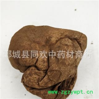 【马勃 白马勃】@【同欢药材】中药材批发供应 规格齐全 量大从优  产地 黑龙江省图2