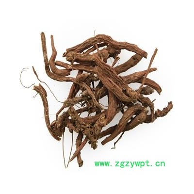 煜庭药业 小红参