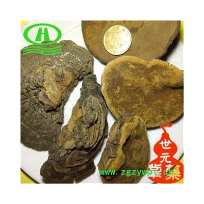 世元药业 桑黄 别称 槐耳 猢狲眼 桑耳 桑臣 桑黄菇 桑黄菰 梅树菌树蛇 木灵芝
