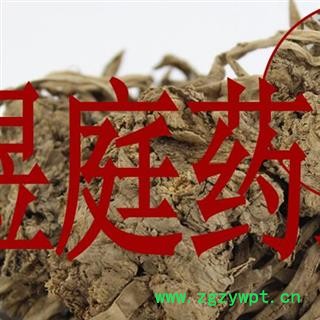 煜庭药业 萱草根 黄花菜根 忘忧草 竹叶麦冬 爬地龙 绿葱根图3