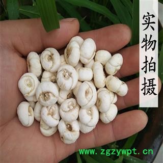 煜庭药业 平贝 平贝母 小平贝图2