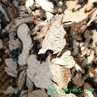 中药材猪苓批发 陕西猪苓统片1000g散装 无硫不加重 秦岭直营图3