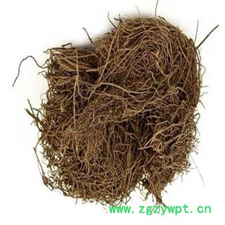 煜庭药业 徐长卿 鬼督邮、石下长卿  别仙踪图3