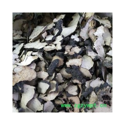 猪苓 东北猪苓 鸡屎苓 产地 吉林省