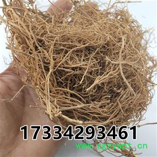 好寮刁竹根 辽刁竹 中草药材 逍遥竹 徐长卿 纯根图3