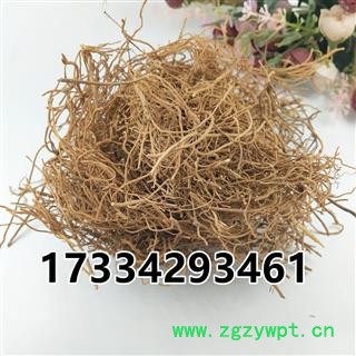 好寮刁竹根 辽刁竹 中草药材 逍遥竹 徐长卿 纯根图2