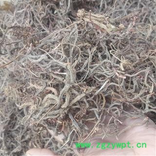 瑞森药材行 滇紫参 云南小红参小活血 滇紫参 小红药图4