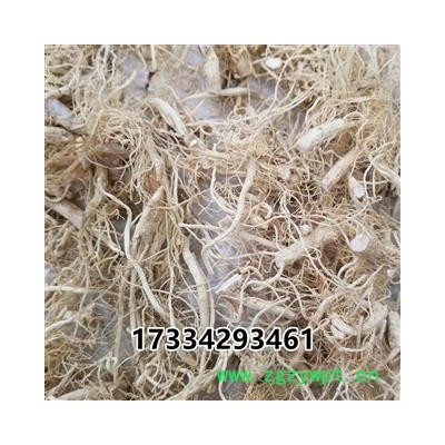 人参白参 白参须 人参须白混须 白参散须