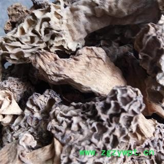 羊肚菌 野生 统货 产地 安徽省图2