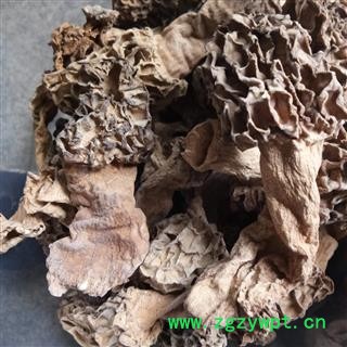 羊肚菌 野生 统货 产地 安徽省图3