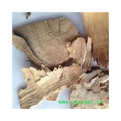 瑞森药材行猫尾木 猫尾木根,大货主营猫尾木