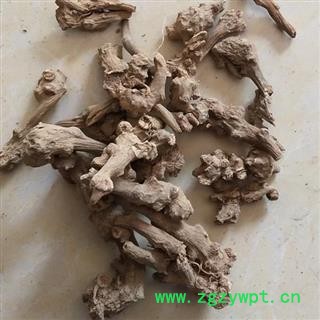 中药材 藤三七新货 藤田七 血三七土三七 金不换 菊三七 血当归图2