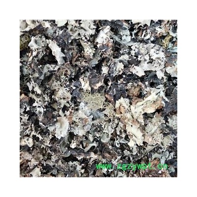 石耳 灵芝 石木耳 岩菇 脐衣 石壁花 地耳 统货 产地 辽宁省